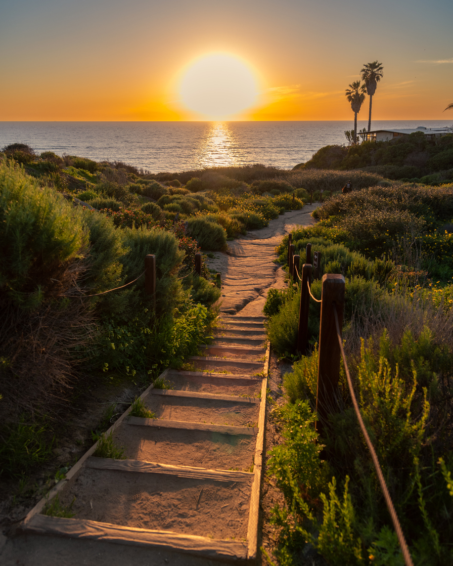 A sunlit coastal path leading toward the ocean at sunset, symbolizing personal transformation, clarity, and the journey toward lasting peace.